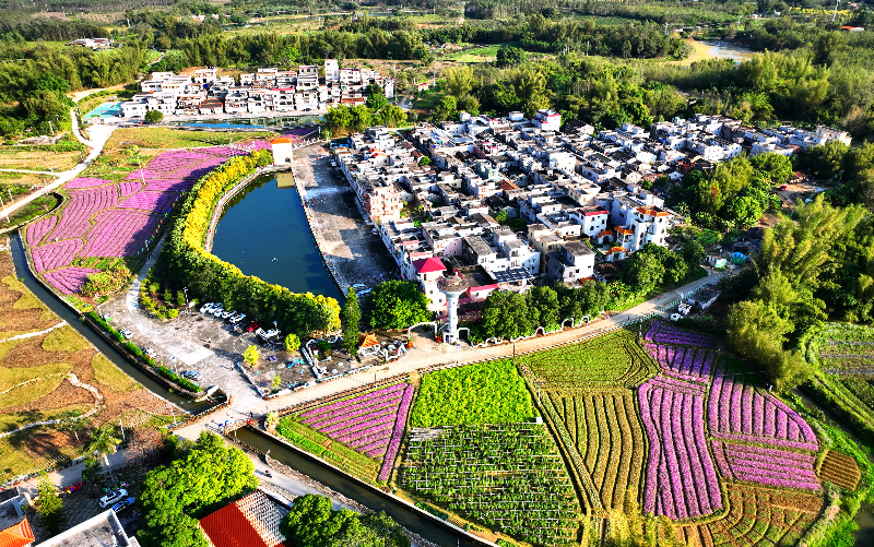 徐卫良-横岗头村-.jpg