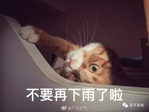 副本8.jpg 副本8.jpg