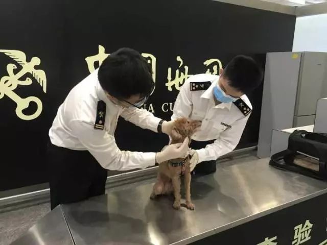 微信图片_20190429093952.jpg