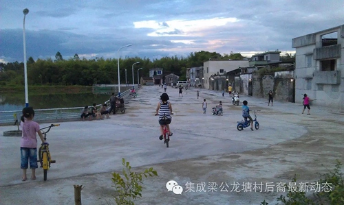副本7侨胞捐资为龙塘村建塘基、铺塘坦.jpg