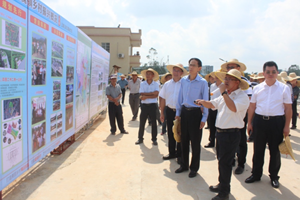 乡村振兴--恩平市全域推进农村人居环境整治攻