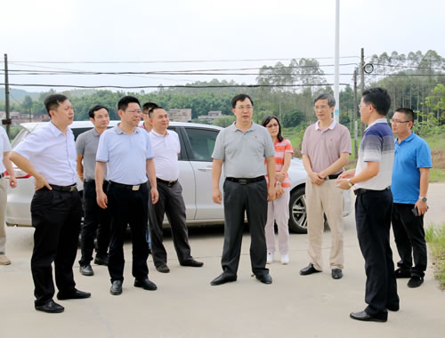 3调研组到乡道Y557牛良线,实地查看沿途道路养护、道路绿化、配套设施建设等.jpg 3调研组到乡道Y557牛良线,实地查看沿途道路养护、道路绿化、配套设施建设等.jpg