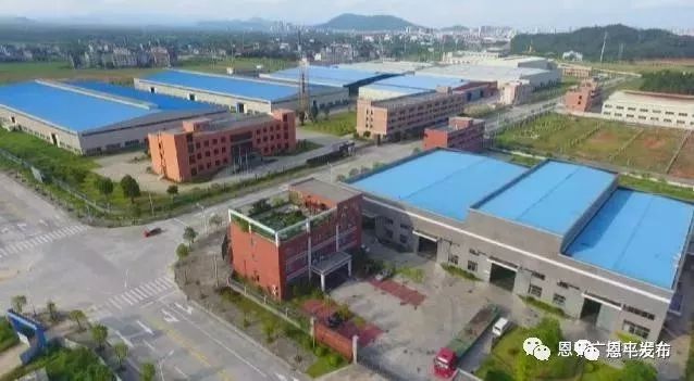 2020江门恩平区人均g_恩平有人养史宾格犬