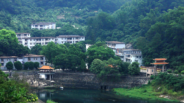 广东十三五将建成200个森林小镇!