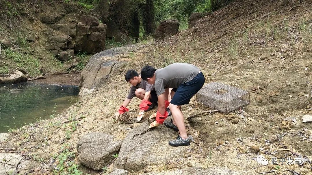 微信图片_20190615104510.jpg