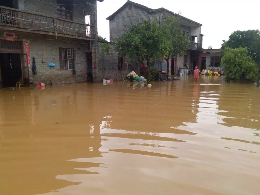 亲历汶川地震救灾摄影师公开采访手记，大量灾区照片首曝