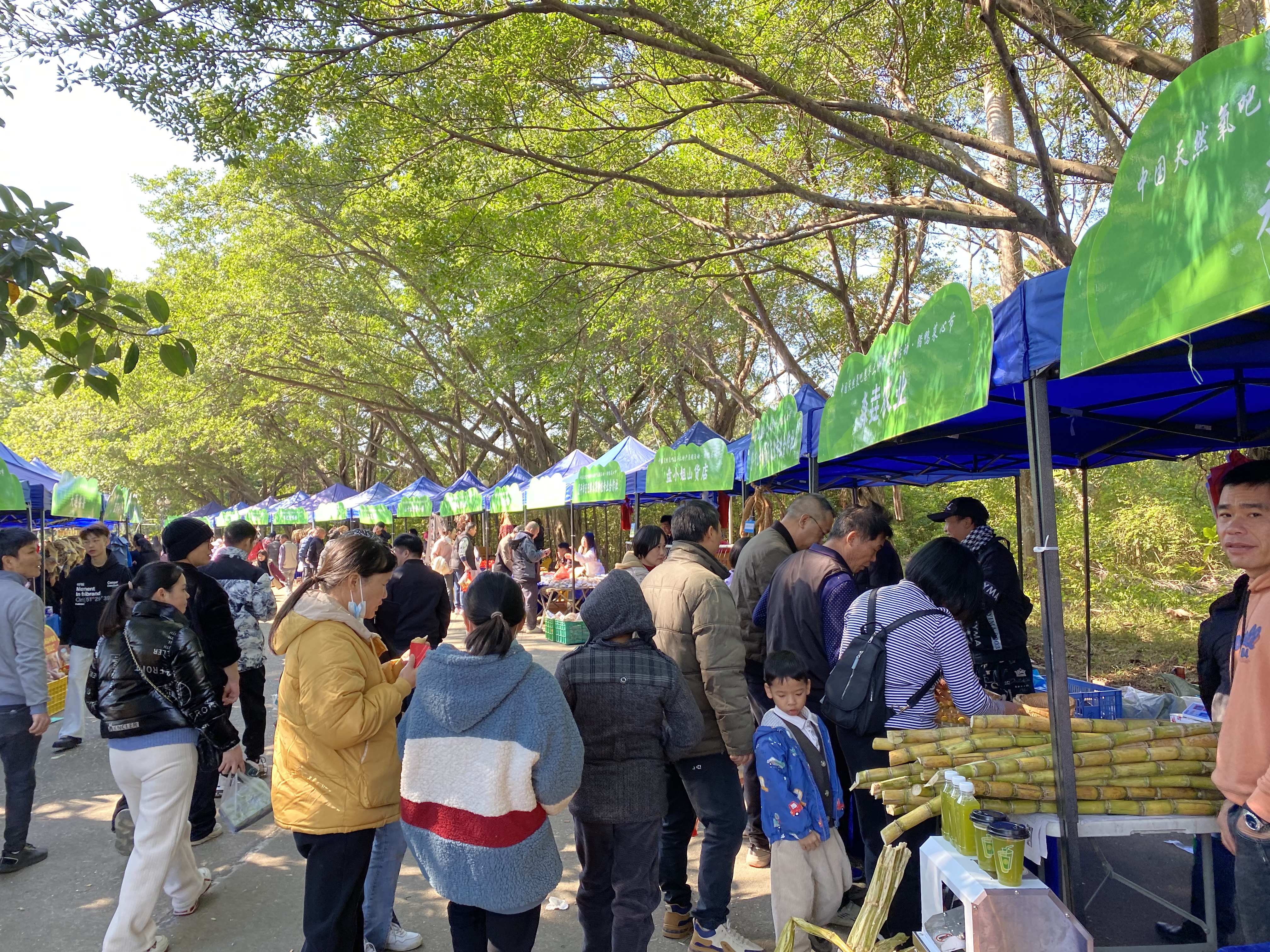 图片2.jpg