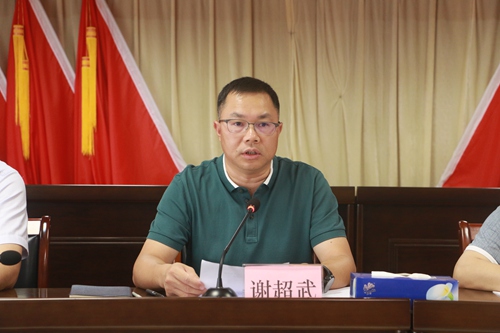 副本1、恩平市委书记谢超武作推进部署讲话.jpg